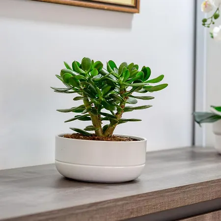 L'explorateur - Entièrement Refait - Hyper Centre Rouen