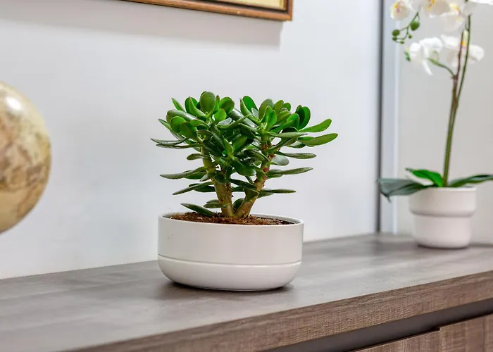 L'explorateur - Entierement Refait - Hyper Centre Rouen